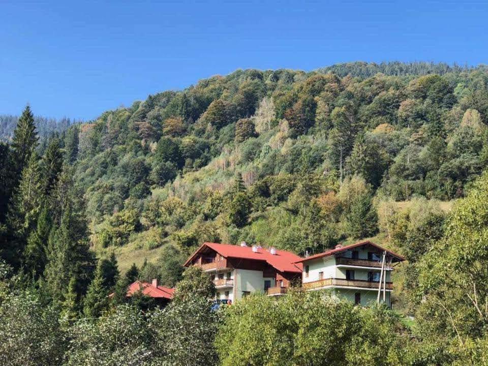 Лісова Казка Hotel Slavske Exterior photo